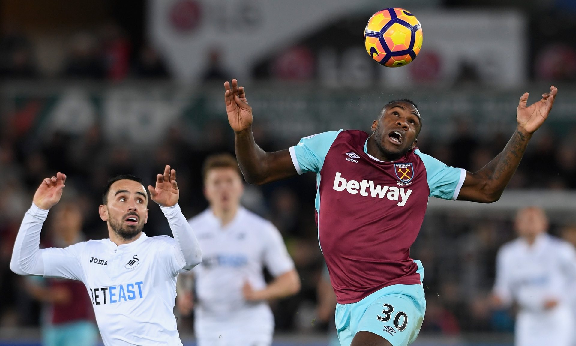 一位新教练 一位新教练